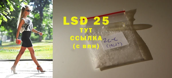 гидра Анжеро-Судженск
