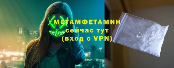 гидра Анжеро-Судженск