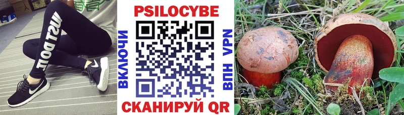 Псилоцибиновые грибы Psilocybe  купить наркотики цена  Арамиль 